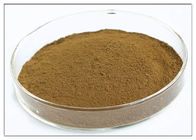 Oleuropein 20% φυσικό απόσπασμα φύλλων ελιών για τη διαιτητική καφετιά σκόνη συμπληρωμάτων