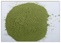 Bayberry φλοιών πράσινη σκόνη CAS 529 44 2 συμπληρωμάτων αποσπασμάτων φυσική αντι εμπρηστική 