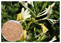 Αντιβακτηριακή χλωρογενής όξινη σκόνη εκχυλισμάτων λουλουδιών αγιοκλημάτων 5%