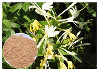 Το αντιβακτηριακό φυσικό λουλούδι εξάγει τη χλωρογενή όξινη σκόνη εκχυλισμάτων λουλουδιών αγιοκλημάτων 5%