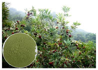 Myricetin 10% - φυσική αντι εμπρηστική σκόνη φλοιών ρίζας Bayberry συμπληρωμάτων 95%