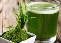 Πράσινη σκόνη χυμού χλόης κριθαριού σκονών υγείας 100 πλέγματος για το συμπλήρωμα τροφίμων