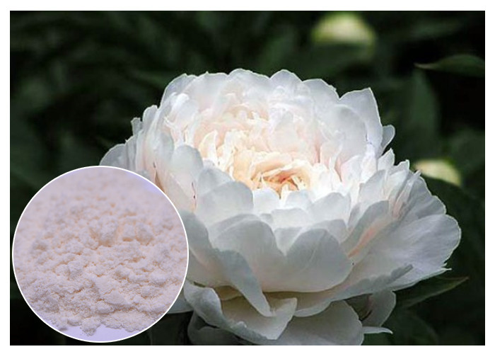 Ανακαίνιση των φυσικών καλλυντικών συστατικών δερμάτων από την άσπρη σκόνη Paeonia Lactiflora χρώματος