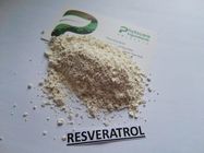 Αντι οξείδωση φυσική δια Resveratrol 98, σκόνη 99% από τη ρίζα γιγαντιαίου Knotweed