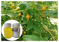 Rosehip αφαίρεσης σημαδιών κρύο πετρελαίου φρούτων που πιέζει το κίτρινο χρώμα με το οξύ Linolieic