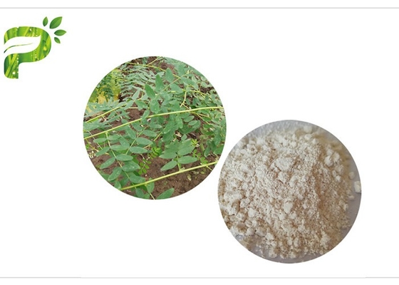 CAS 84687 43 4 Astragalus απόσπασμα Astragaloside IV Membranaceus αντι γήρανση 98%