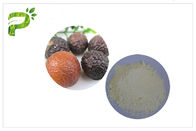 Φυσικό Saponins μέσων επιπολής απόσπασμα Soapnut, εκχυλίσματα φυτού καρυδιών σαπουνιών για τη φροντίδα δέρματος