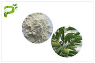 Φυσικό όξινο απόσπασμα Ursolic φυτού, CAS 77 52 1 Persimmon υψηλή αγνότητα σκονών φύλλων