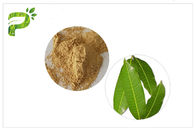 Τα φύλλα μάγκο Mangiferin δερμάτων κονιοποιούν το αντι οξειδωτικό καλλυντικό συστατικό πίεσης για τη θεραπεία της ακμής