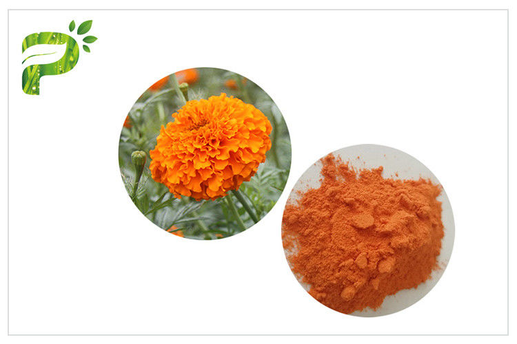 Marigold λουτεΐνης 40 2 CAS 127 εκχύλισμα λουλουδιών, Marigold σκόνη αποσπασμάτων για τις ταμπλέτες