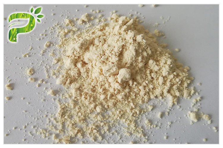 Τροφίμων ενζυμικό Papain εκχυλισμάτων φυτού πρόσθετων ουσιών καθαρό φυσικό από Papaya την πηγή CAS 9001 73 4