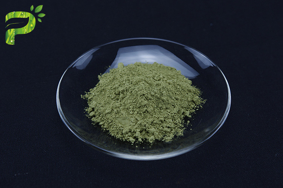 Πράσινη σκόνη τσαγιού Matcha από τα φύλλα Sinensis καμελιών