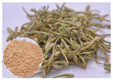 5%, 25% Lonicera japonica Εκχύλισμα φυτικής φυτικής φυτικής φυτικής φυτικής φυτικής φυτικής φυτικής φυτικής φυτικής φυτικής φυτικής φυτικής φυτικής φυτικής φυτικής