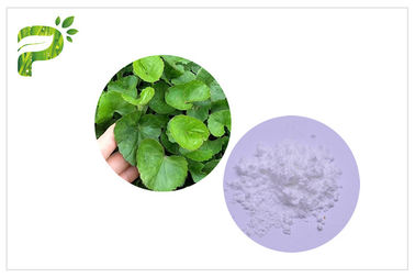 CAS 34540 Asiatica απόσπασμα 22 2 Centella, εκχύλισμα κόλα Madecassoside Gotu