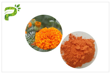 Marigold προστασίας αμφιβληστροειδών εκχύλισμα λουλουδιών, Marigold σκονών λουτεΐνης 5% απόσπασμα για τα μάτια