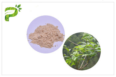 Απόσπασμα Grossedentata Ampelopsis Dihydromyricetin/DHM για τα σύνδρομα CAS 27200 12 0 απόλυσης