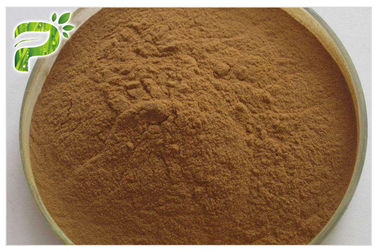 Καφέ κίτρινη λεπτή σκόνη εκχύλισμα ρίζας ginseng 20 ((R) - ginsenoside Rh2/Rg3